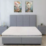 Ортопедичен матрак Ergo Disc