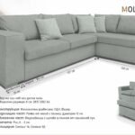 Холов ъгъл Molly